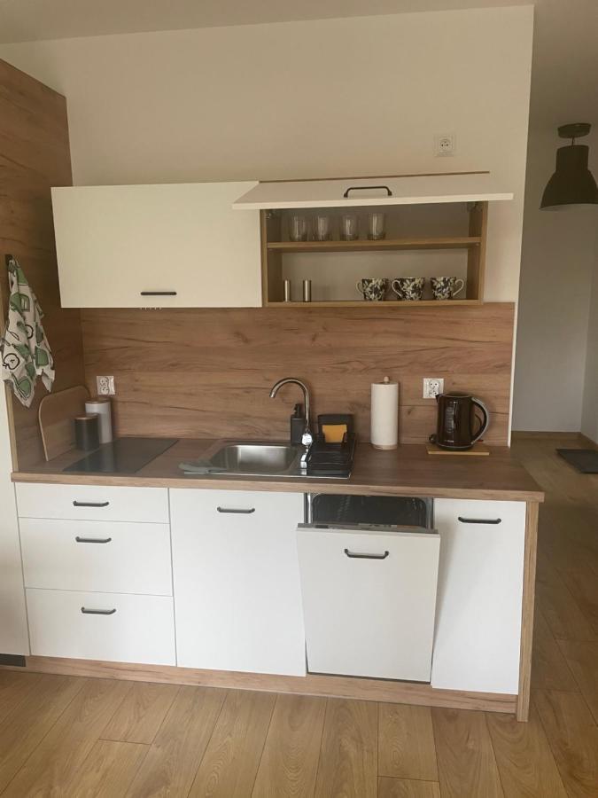 Apartament Kuba Na Spokojnej Wisła Zewnętrze zdjęcie